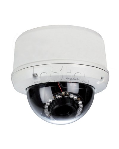 IP-камера видеонаблюдения уличная купольная D-Link DCS-6510/EP в Бийске IP-камеры Pintop.ru