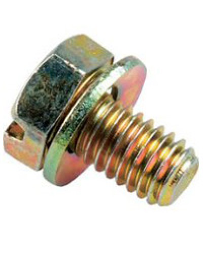 Винт с шайбой М6х10мм TH Legrand 036775 в Бийске Крепеж Pintop.ru