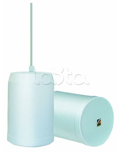 Громкоговоритель встраиваемый ROXTON SP-20T в Бийске Система оповещения и трансляции Roxton Pintop.ru