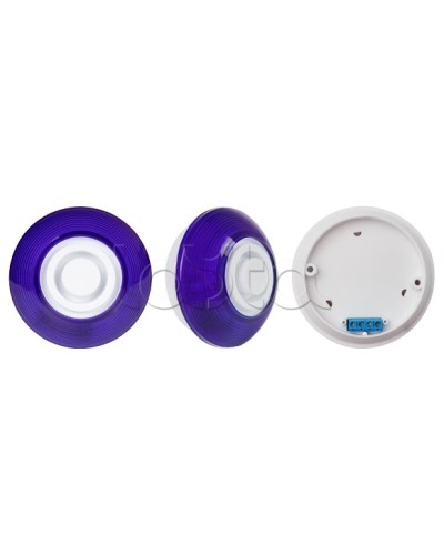 Оповещатель комбинированный SLT Марс 12-КП (строб, син) в Бийске Оповещатели Pintop.ru